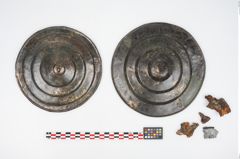 Foto von Bronzephalere (NHMW-PRAE-025563)